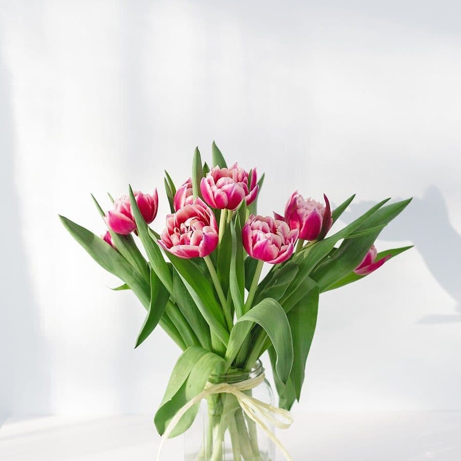 Tulipanes Holandeses